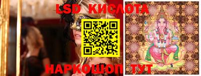 гашик Жуковский