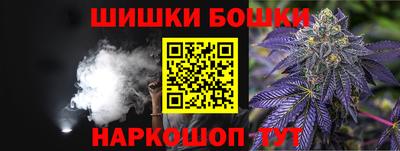 гашик Жуковский